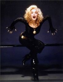 Catwoman Dangerous Catwoman Dangerous