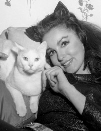 White_Cat White_Cat